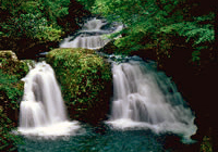 赤目四十八滝 荷担滝